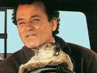 Theme Week - Groundhog Day