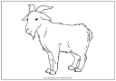 Goat coloring page