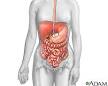 Digestive Diseases: MedlinePlus