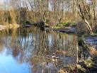 Timperley Flood Storage Basin - via Daymix