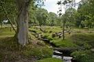 Warwickslade Cutting: felled - via Daymix