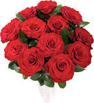 12 Red Roses [FD002] : Daisy Chain, Central Florists - Tunstall ...