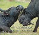 How to Track Your Competition | Wendistry