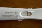 Faint Line On Pregnancy Test | Pee On A Stick