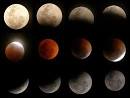 The Esoteric Blog: Ursi's Eso Garden