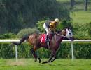 jockey