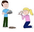How to Make an Awesome Insect Collection | Purdue | entomology ...