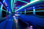 STL Party Bus Fleet | STL Road Pony | St. Louis, MO