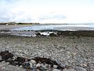 NX1241 : New England Bay - via Daymix