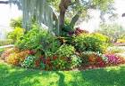 Idea For Gardens Designs | Garden Idea