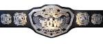 ECW Championship - For Extreme Wiki
