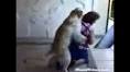 picture of Page 1 of comments on pas jebe zenu horny dog - YouTube images wallpaper