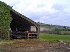 SX7865 : South Devon cattle - via Daymix