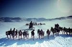 Eskimos Free Pictures Photos