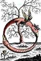 Fark Yaraları = Scars of Différance: The Gnostics