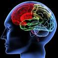 Medical Group Calls Addiction Brain Disorder, Not Behavior Problem ...