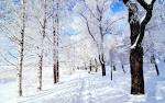 Snow What? - Painting Tips and Advice - Reaper Message Board