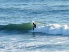 SR8899 : Surfing at Freshwater - via Daymix