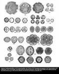 <b>Hippocrateaceae</b>: Anthodon