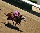 Horseracing Hospitality: Horse racing: Jeremy Noseda discounts ...