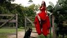 kate ritchie sex tape for free