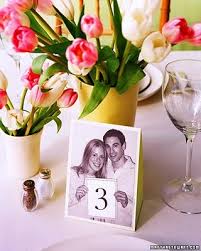 images?q=tbn:ANd9GcRllp99g1fWL8R5ionMcj-