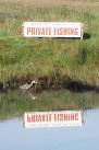 NX6090 : An illiterate heron fishes the banks of Kendoon Loch! - via Daymix