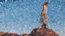 Tracey Harnish: Made in LA: Like Too Many Fabulous Hors d'