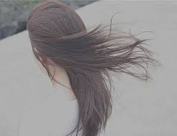 http://t1.gstatic.com/images?q=tbn:ANd9GcRm-i9gKR_i422frncOOBY8-yp2yID2XznvlF2r_Fx8AHSOEvnf