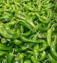 Green Chile Pepper - Anaheim Pepper - Description and Picture