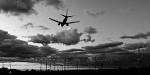 With Aviation Biofuel Deals on the Rise, Camelina in the Spotlight ... 