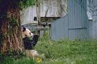 Giant panda animal public - via Daymix