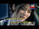 Ai Ni Yi Wan Nien Loving You For Ten Thousand Years Andy Lau - AgaClip ... - aSGrnDcbTS0-_-kelly-chen-ci-she-pen