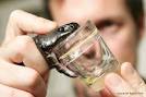 weird and unusual animals