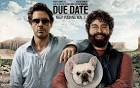 Due Date