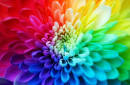 Colors - China culture