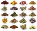 http://1.bp.blogspot.com/-jzhOOlM-x3o/TpDC1dnH59I/AAAAAAAABhE/TqYnd5Pm2sY/s1600/herb_chart.jpg
