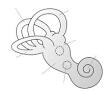 Inner ear - Wikipedia, the free encyclopedia