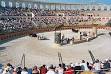 Chariot racing - Wikipedia, the free encyclopedia