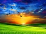 Apethana.com - Image Gallery