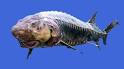 Chinese Sturgeon Museum