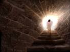 Backwards in Time to the RESURRECTION - Waking Times : Waking Times