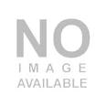 2012 January | Election 2012 News