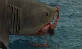 external image images?q=tbn:ANd9GcRoASmAcgEAFeqbStA_MPUy5dXU9uUjqdMgk0gh4RC8MLdt_McQ