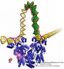 Research Collaborations