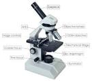 Optical Microscope Diagram - The Free Information Society