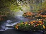 Autumn Landscape