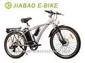 Electric bicycles(Bike Size) Manufacturer, Supplier, Factory ...
