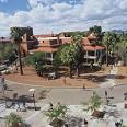 Officine Comunicazione | University of Arizona Program