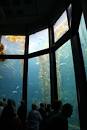 Monterey Bay Aquarium - Monterey, California - aquarium ...